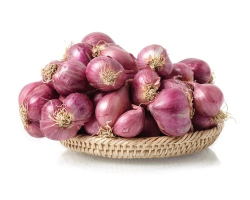 ONION SMALL