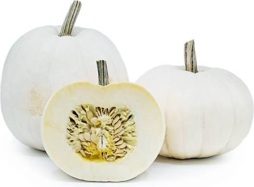 WHITE PUMPKIN