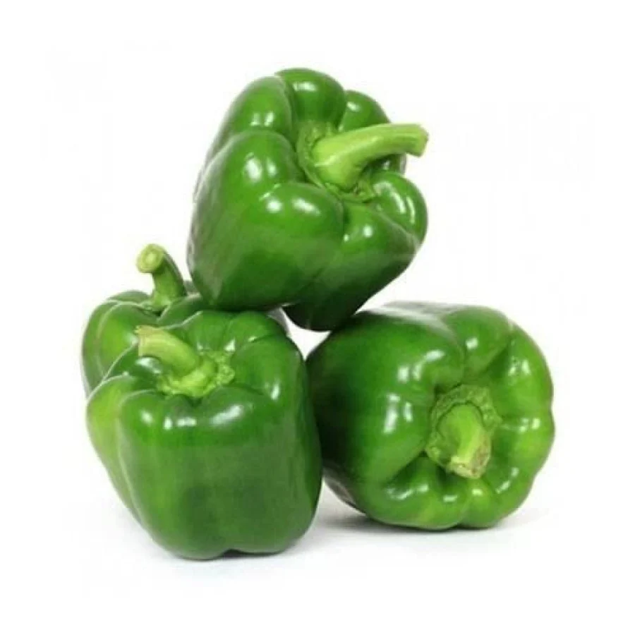 CAPSICUM