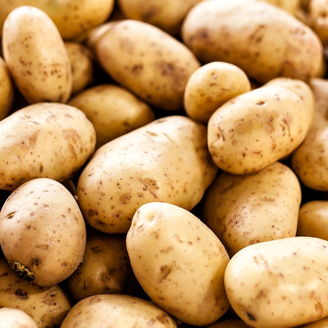 POTATO
