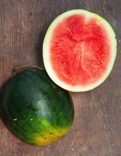 WATERMELON GREEN