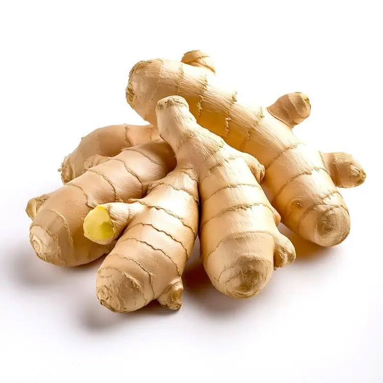 GINGER