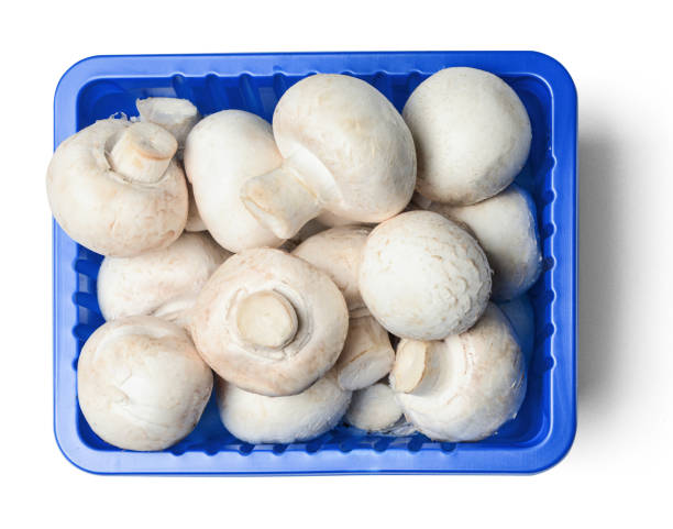 MUSHROOM