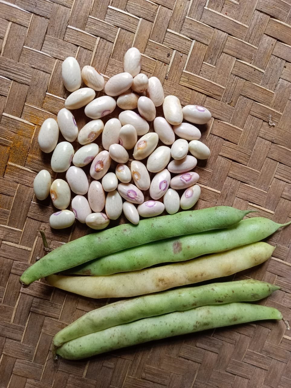 BUTTER BEANS