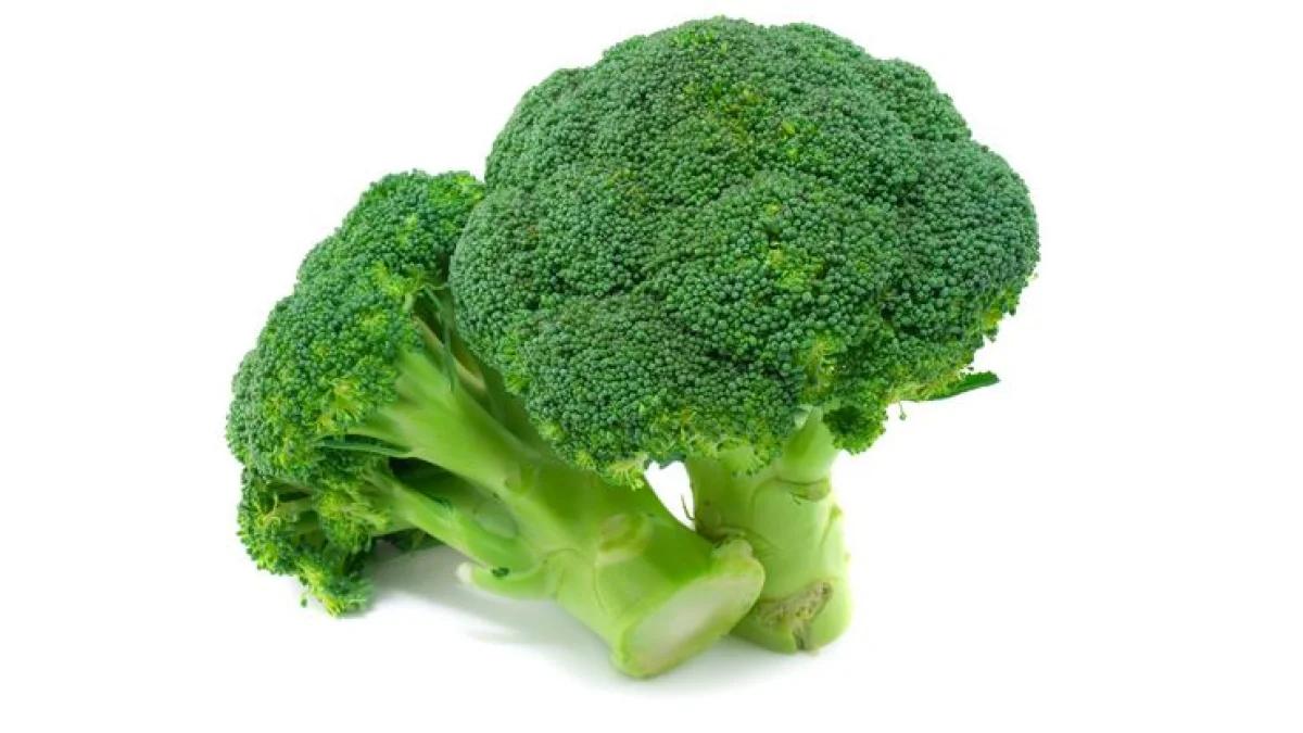 BROCOLLI