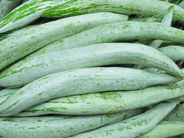 PUDALANKAI