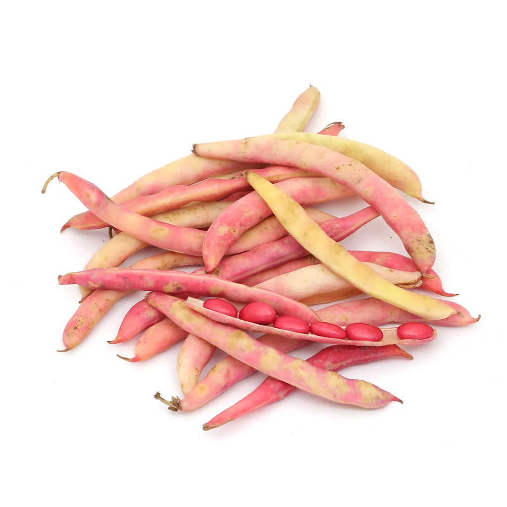 SOYA BEANS